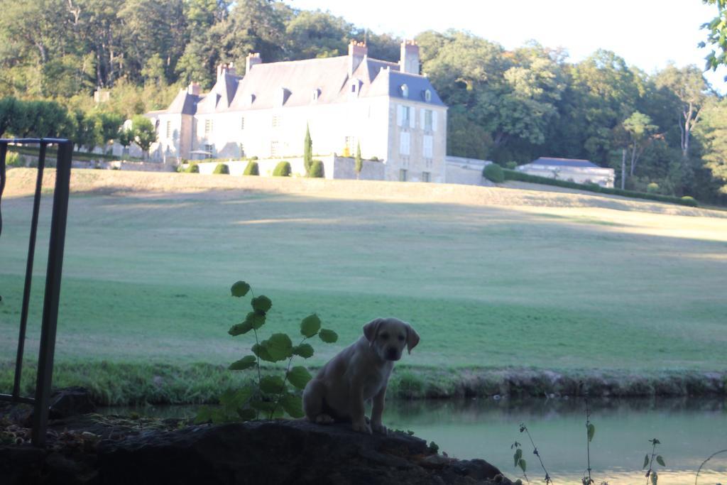 Château d'Hodebert Saint-Paterne-Racan Exterior foto